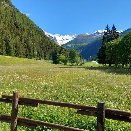 Chez Umbus, E Immerso Nel Verde, Grande Terrazzo Апартаменты *